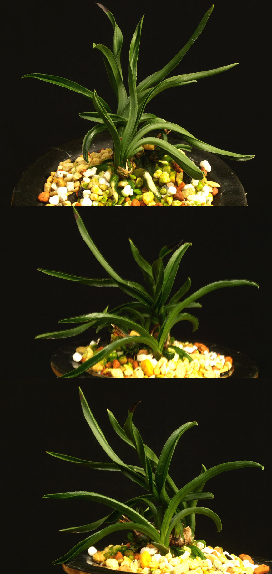 ������ ū������ �� �� �ֽ��ϴ�.