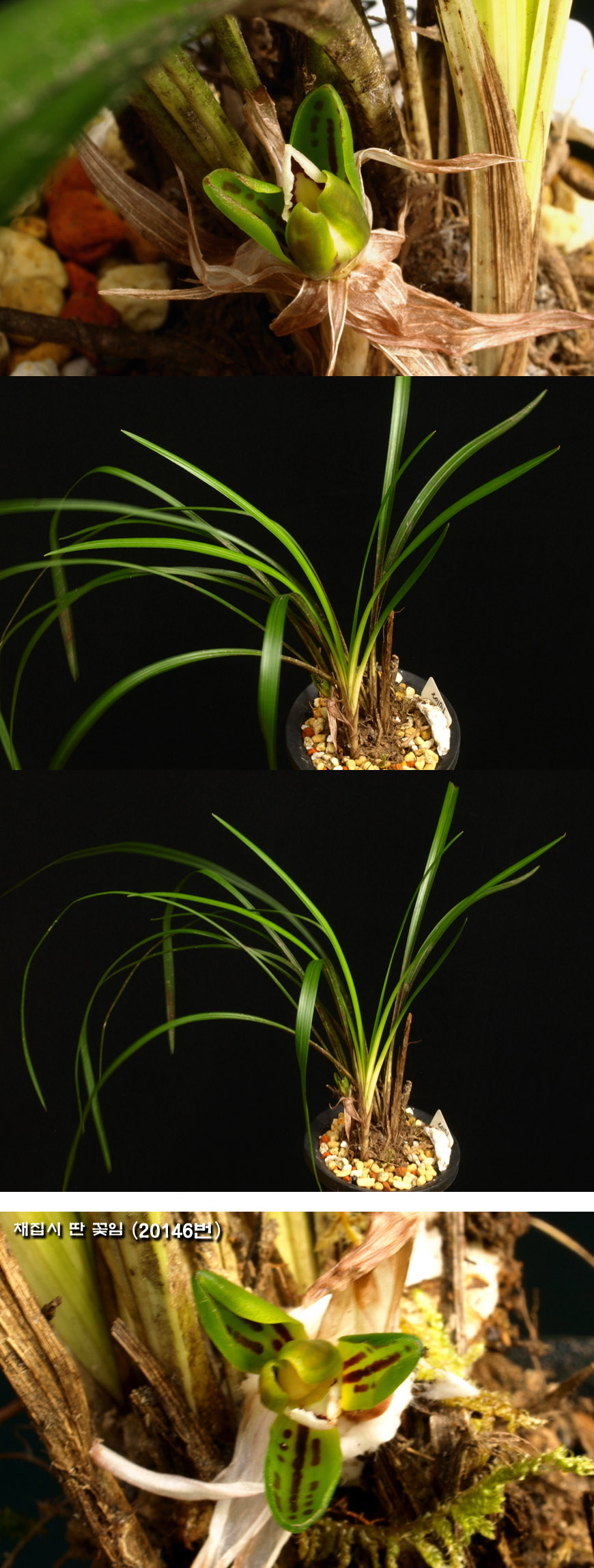 ������ ū������ �� �� �ֽ��ϴ�.