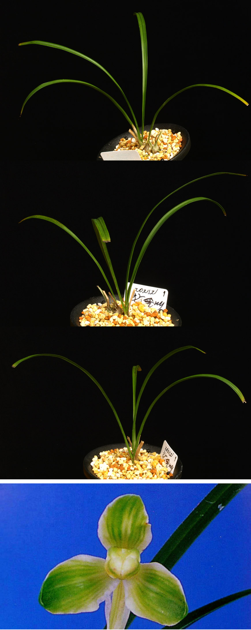 ������ ū������ �� �� �ֽ��ϴ�.