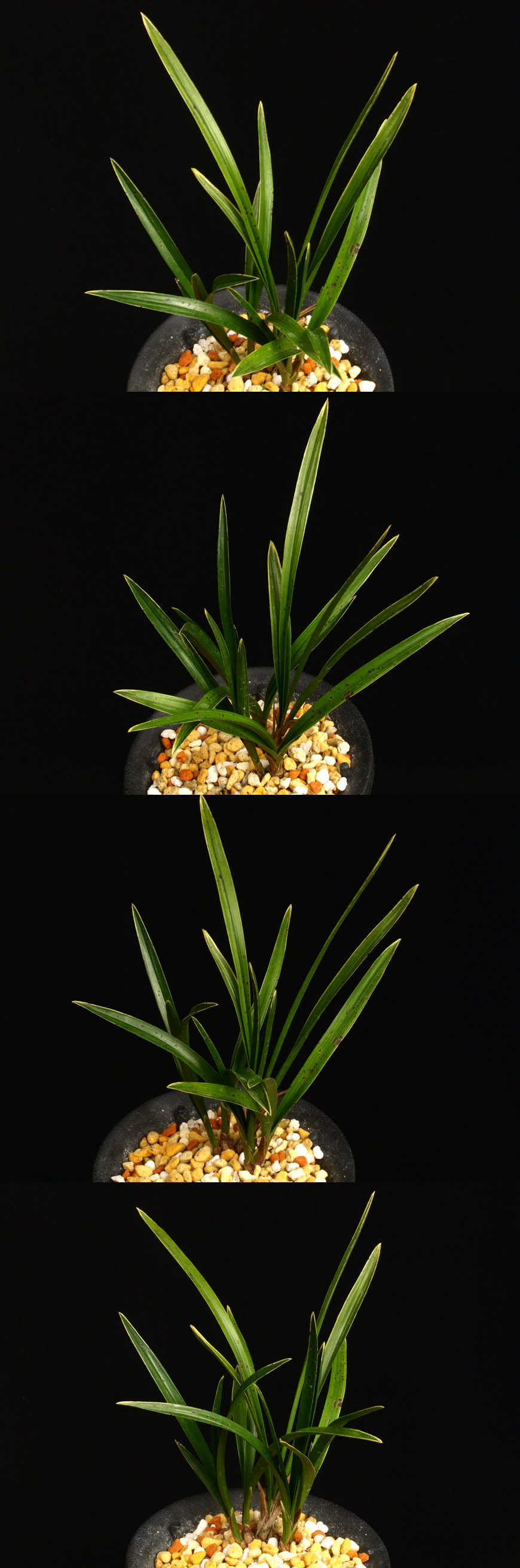 ������ ū������ �� �� �ֽ��ϴ�.