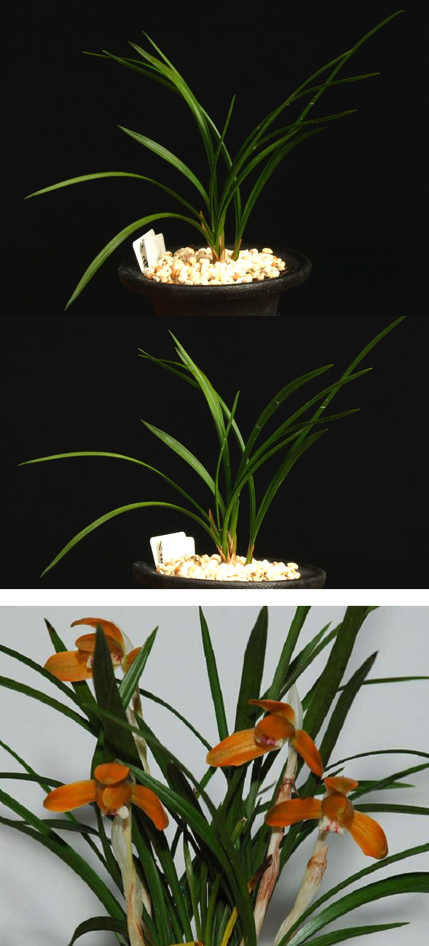 ������ ū������ �� �� �ֽ��ϴ�.