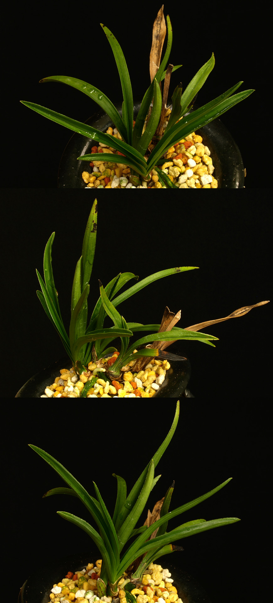 ������ ū������ �� �� �ֽ��ϴ�.