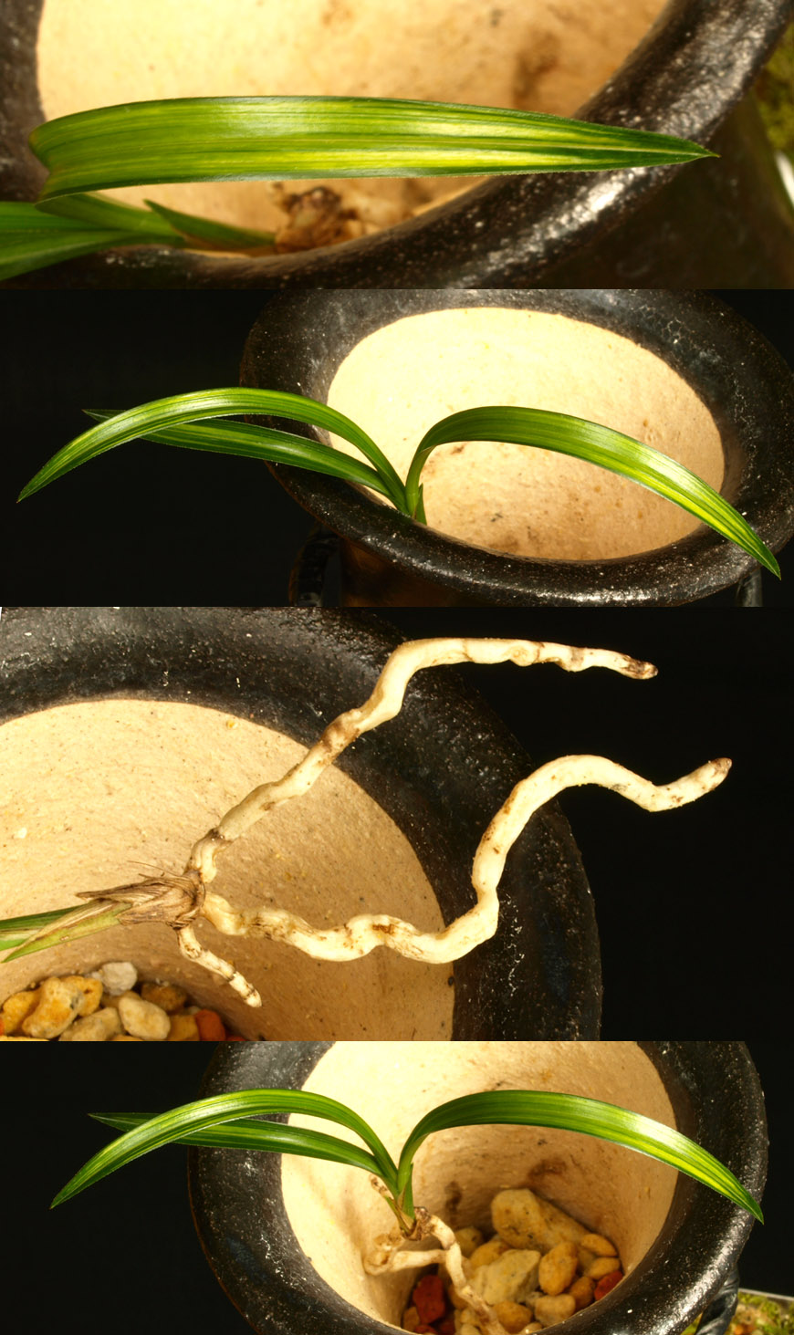 ������ ū������ �� �� �ֽ��ϴ�.