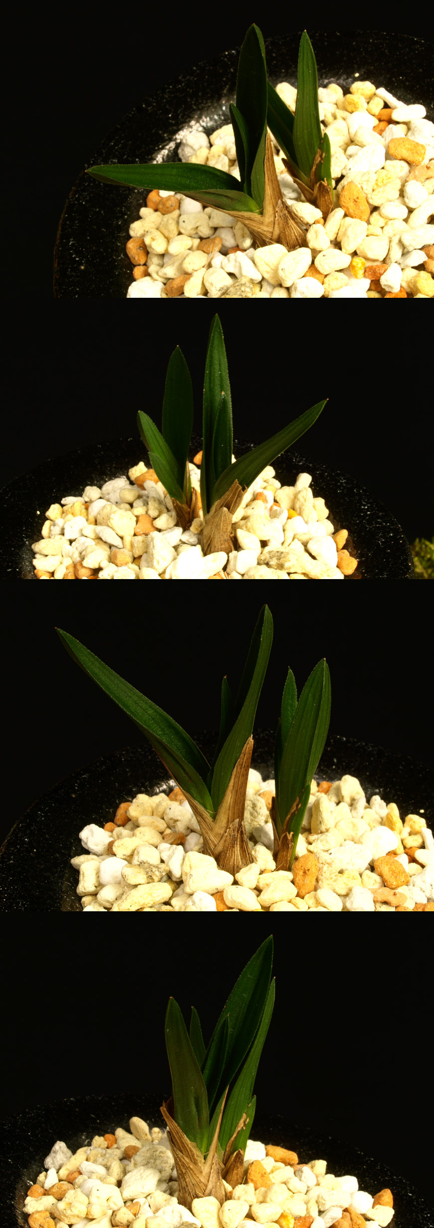 ������ ū������ �� �� �ֽ��ϴ�.