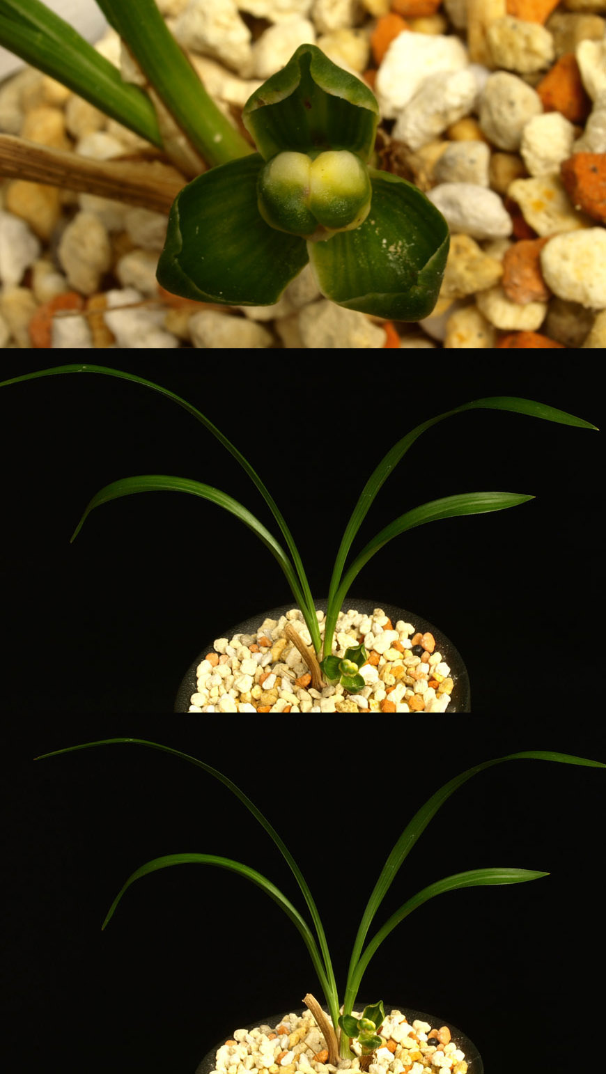 ������ ū������ �� �� �ֽ��ϴ�.