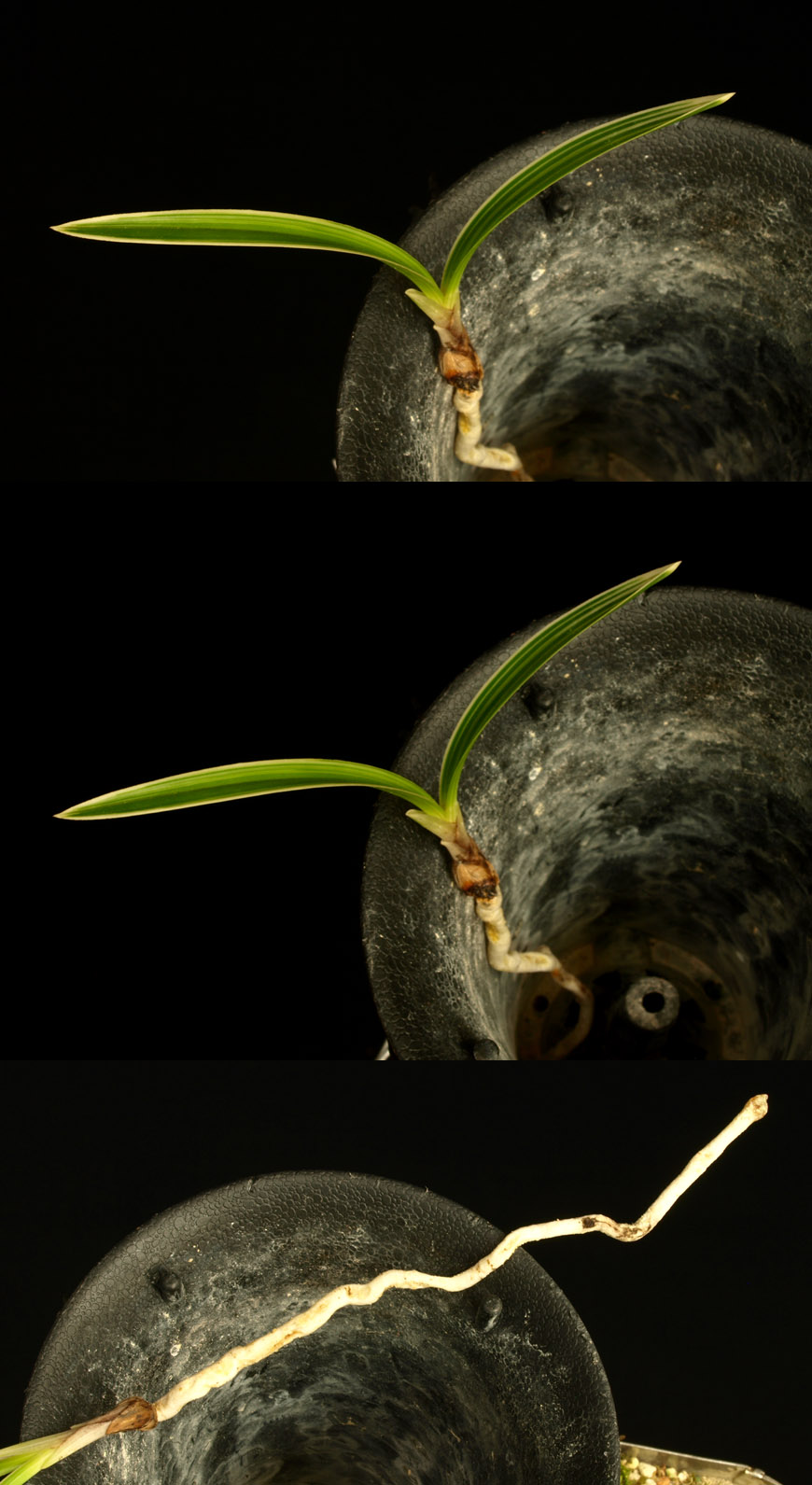 ������ ū������ �� �� �ֽ��ϴ�.