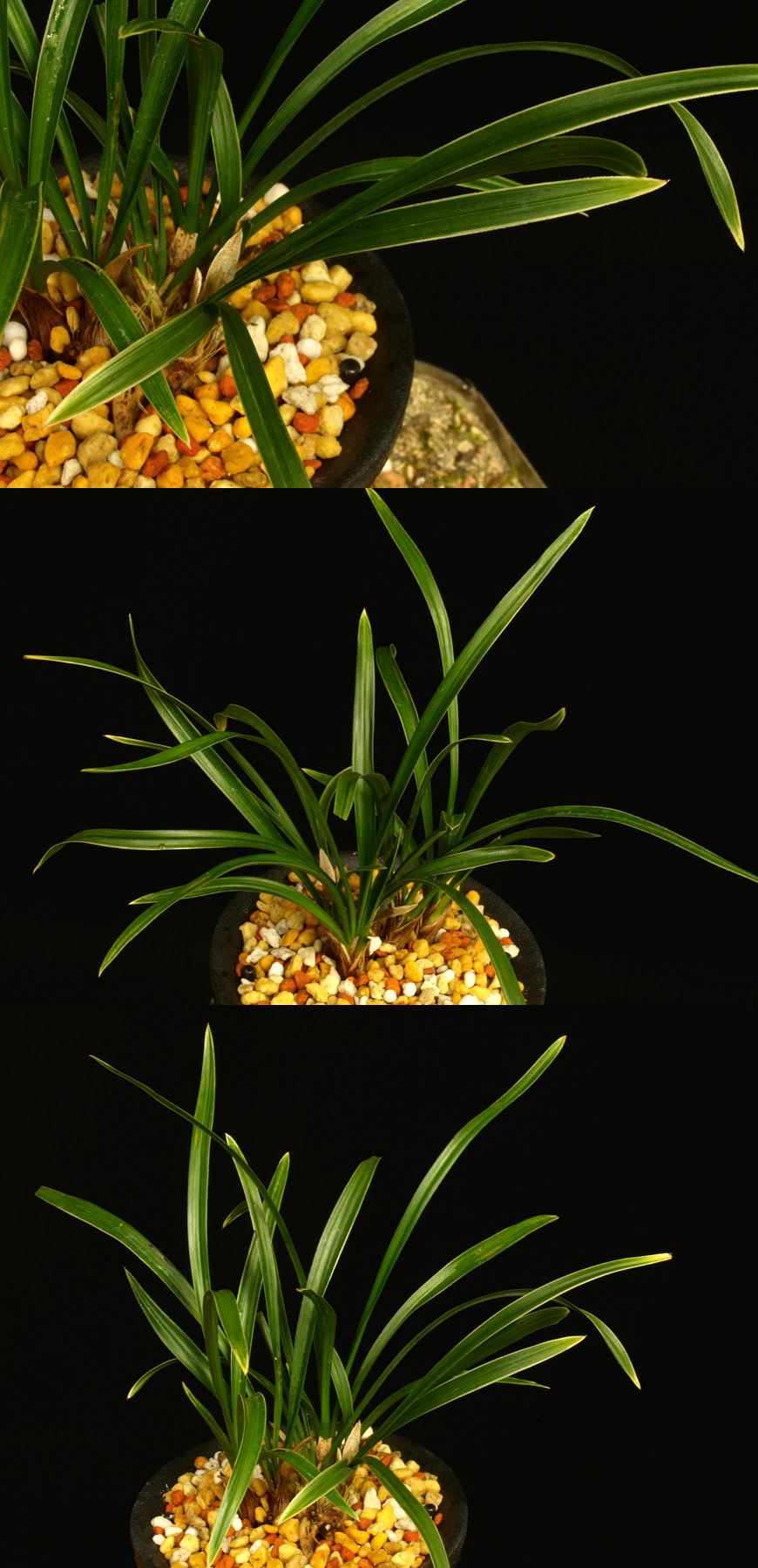 ������ ū������ �� �� �ֽ��ϴ�.