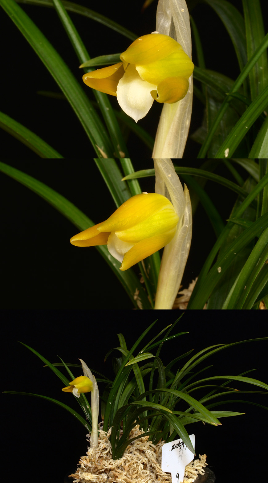 ������ ū������ �� �� �ֽ��ϴ�.