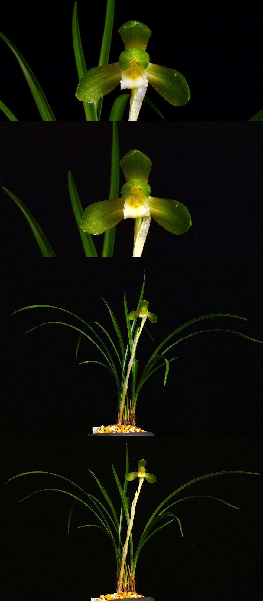 ������ ū������ �� �� �ֽ��ϴ�.