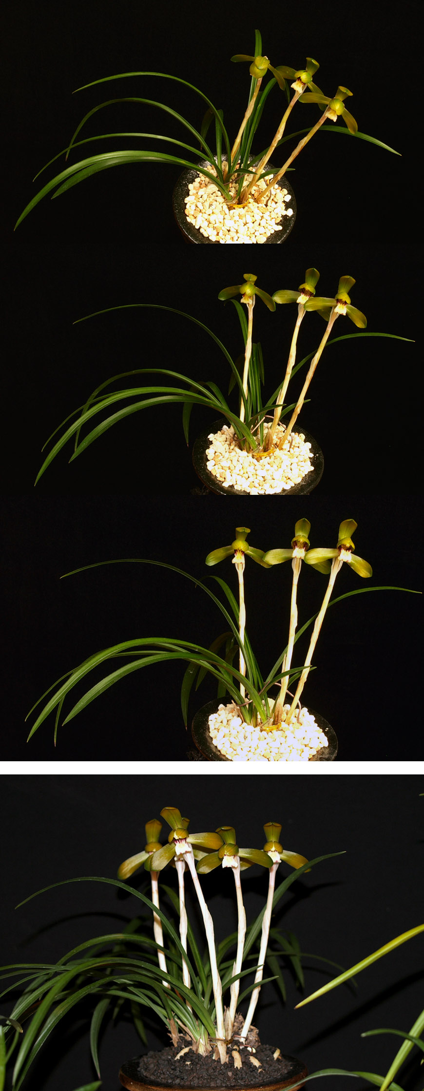 ������ ū������ �� �� �ֽ��ϴ�.