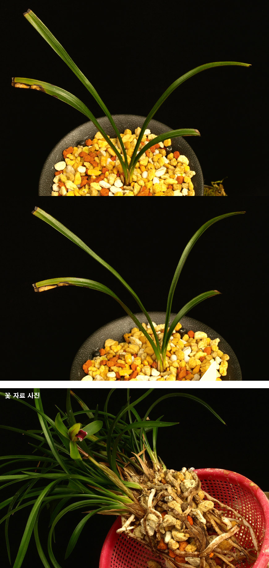 ������ ū������ �� �� �ֽ��ϴ�.