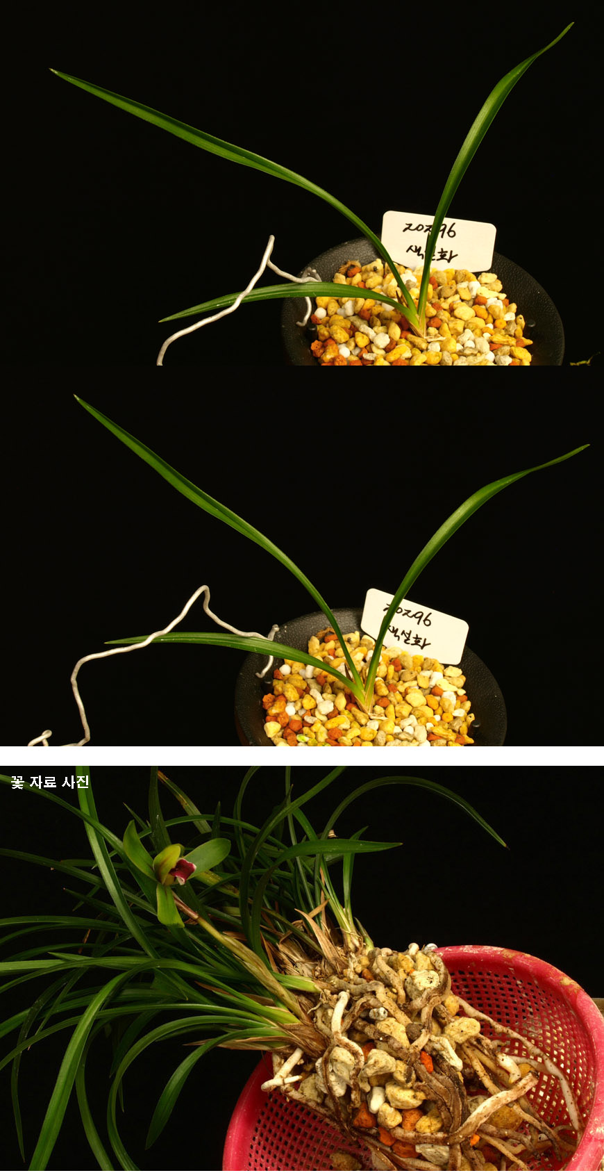 ������ ū������ �� �� �ֽ��ϴ�.