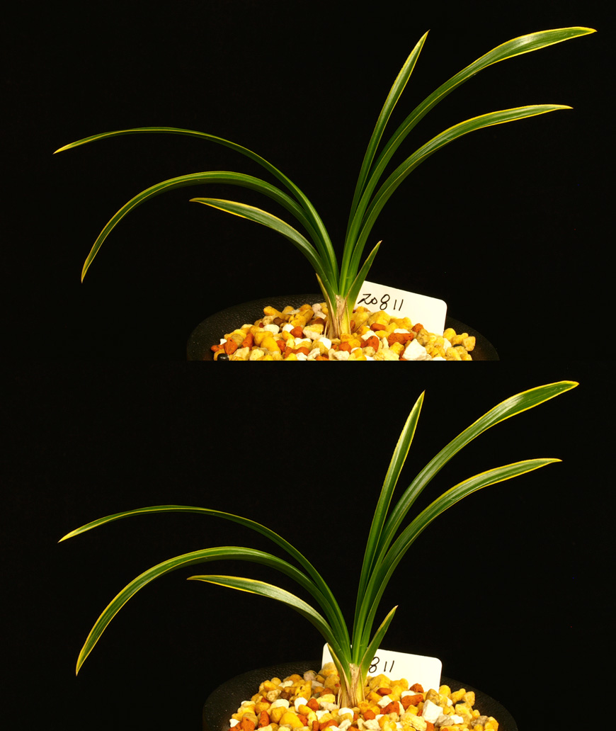 ������ ū������ �� �� �ֽ��ϴ�.