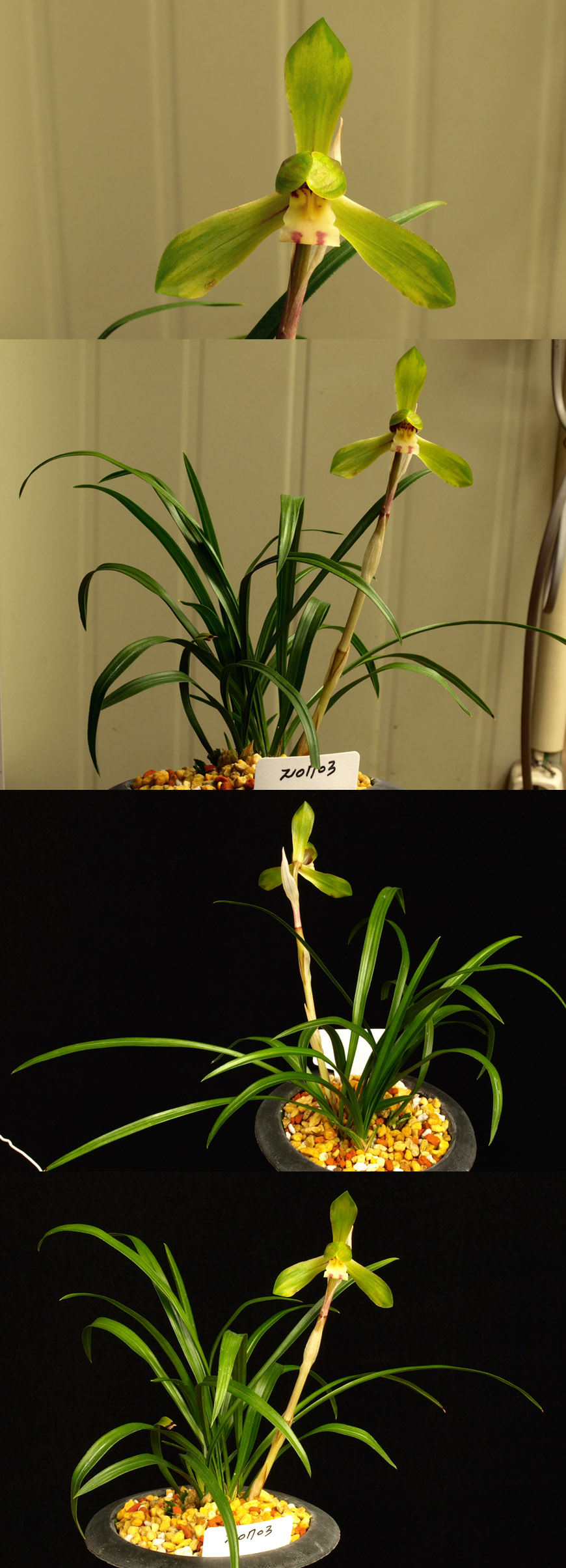 ������ ū������ �� �� �ֽ��ϴ�.