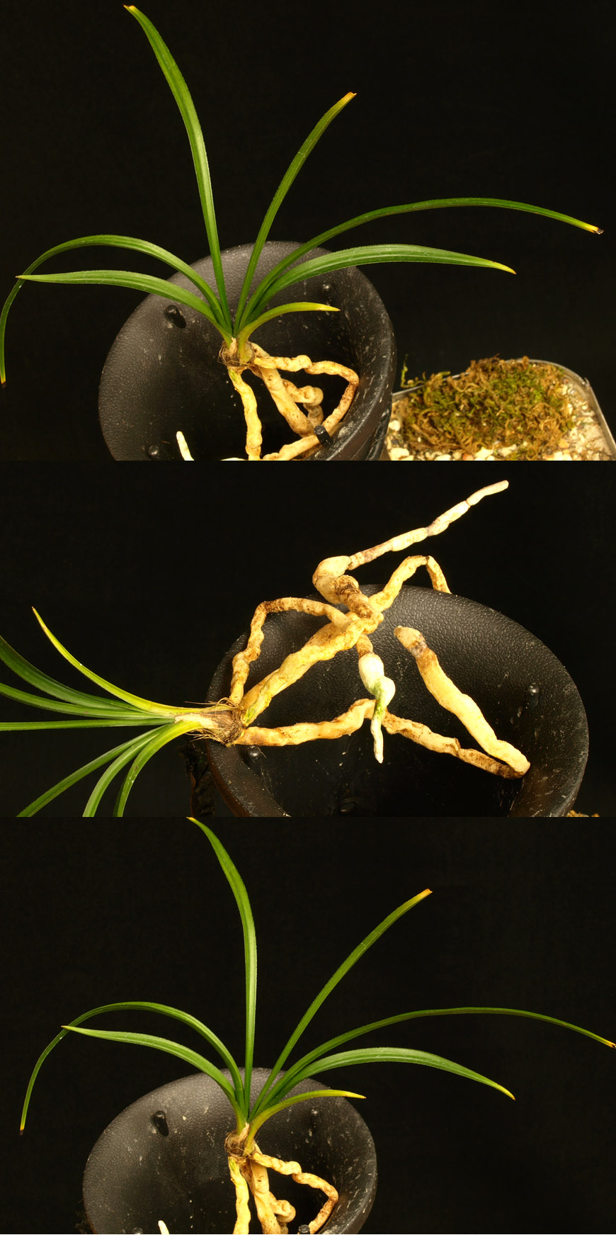 ������ ū������ �� �� �ֽ��ϴ�.