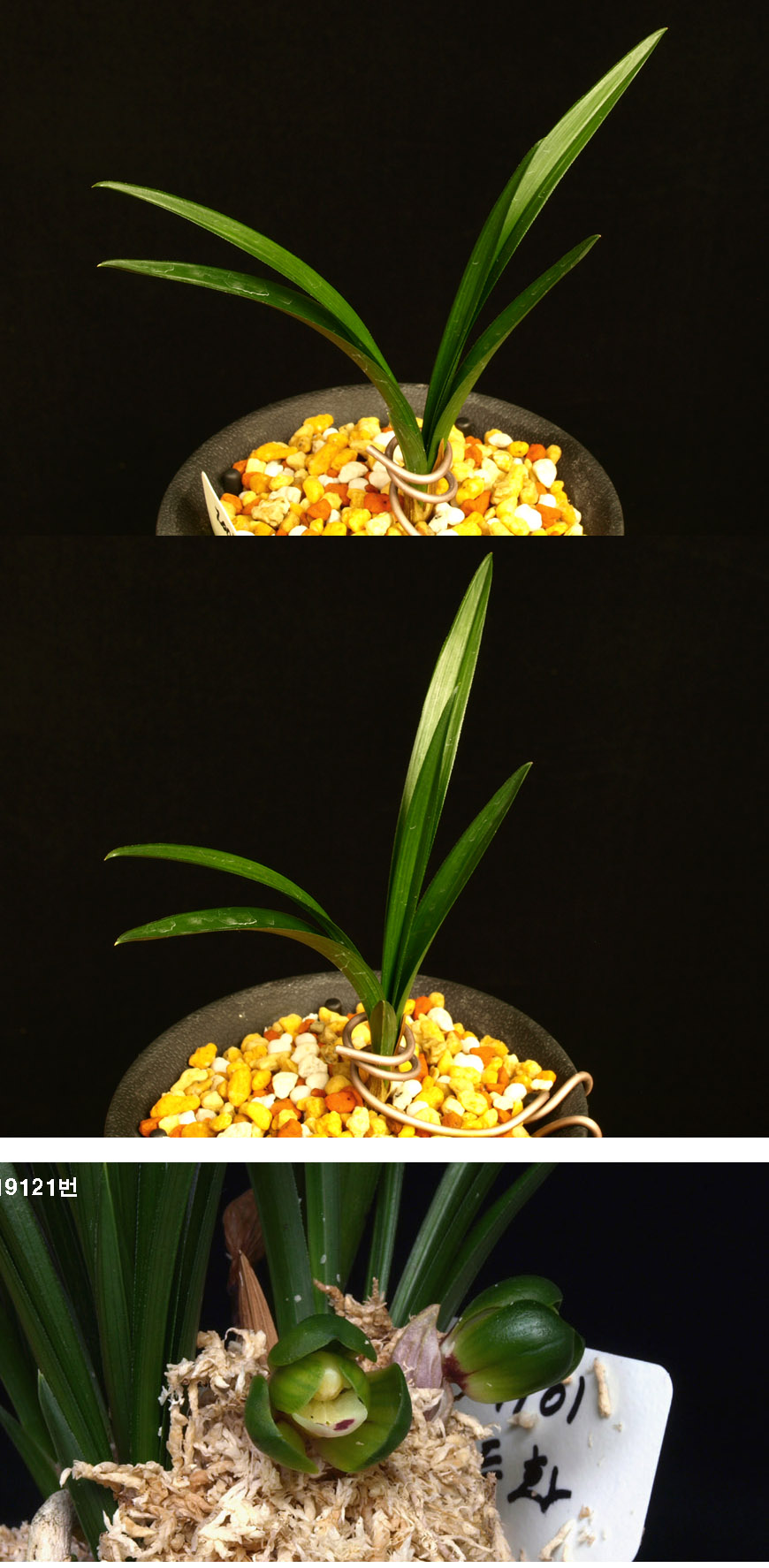 ������ ū������ �� �� �ֽ��ϴ�.