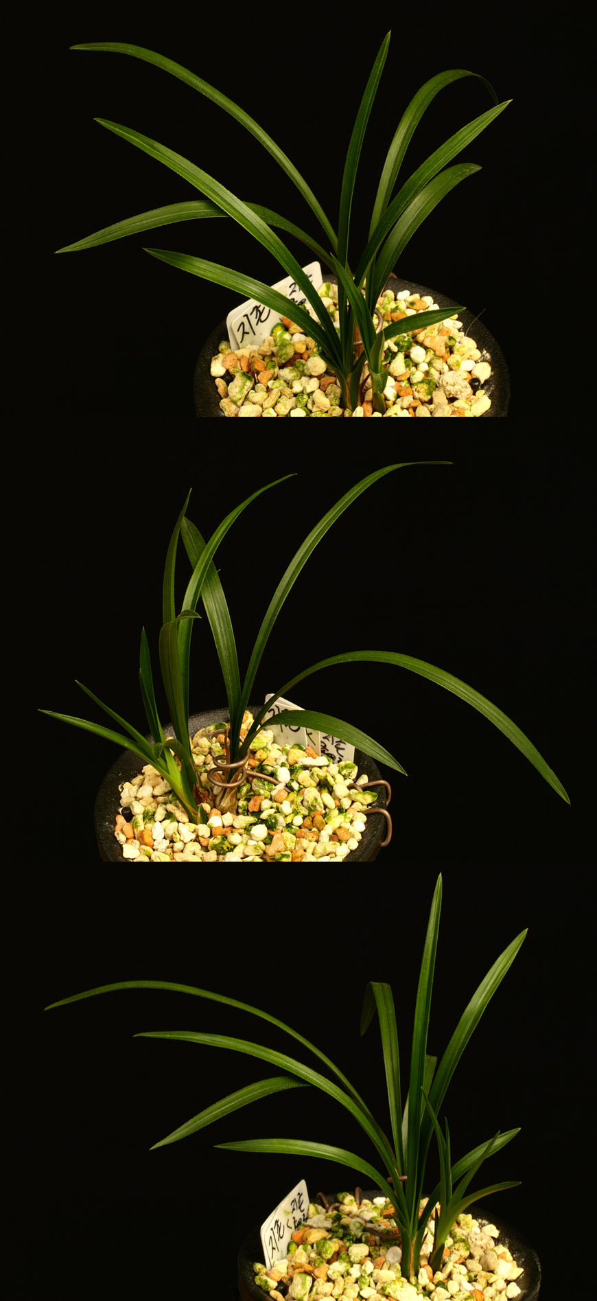 ������ ū������ �� �� �ֽ��ϴ�.