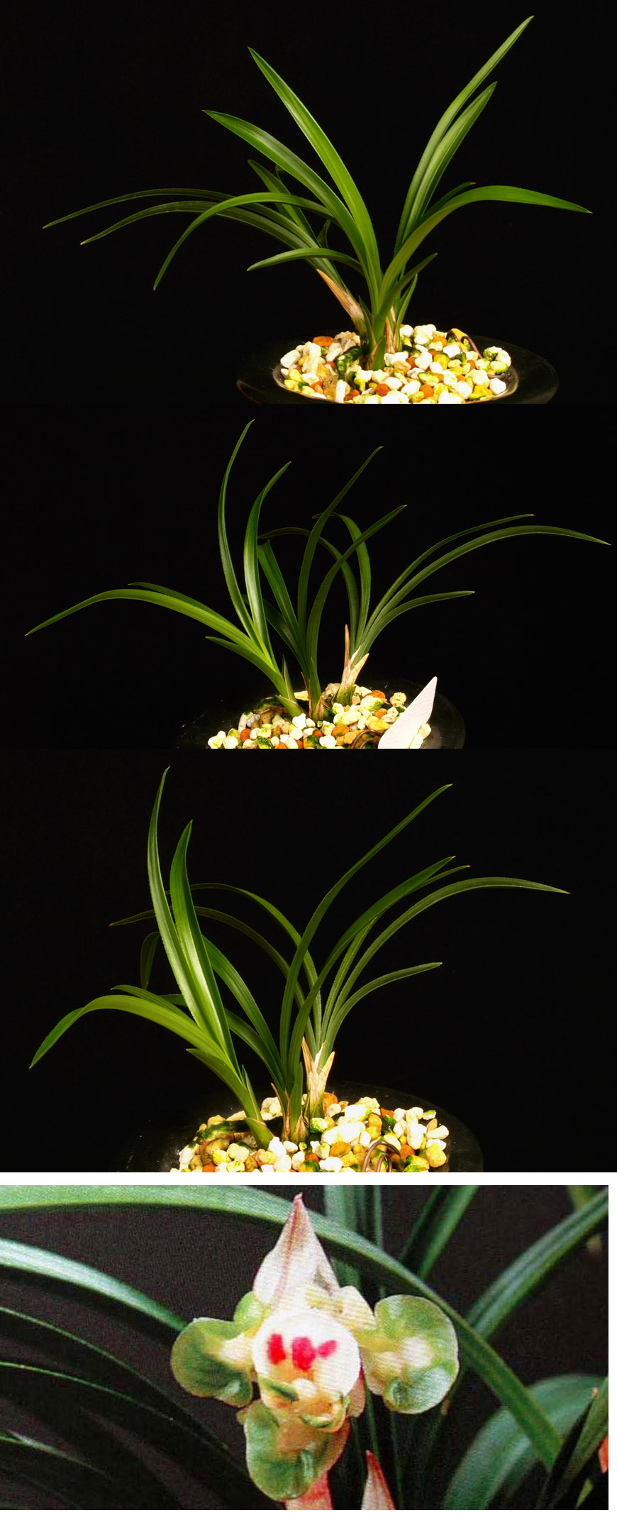 ������ ū������ �� �� �ֽ��ϴ�.