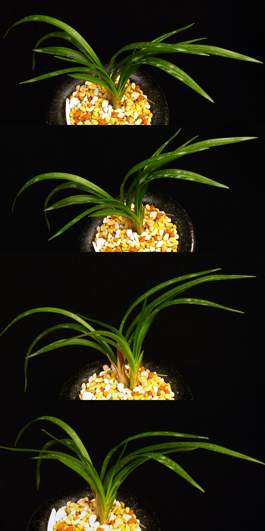 ������ ū������ �� �� �ֽ��ϴ�.