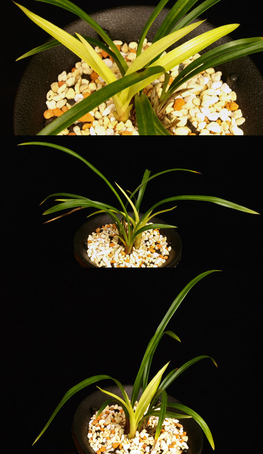 ������ ū������ �� �� �ֽ��ϴ�.