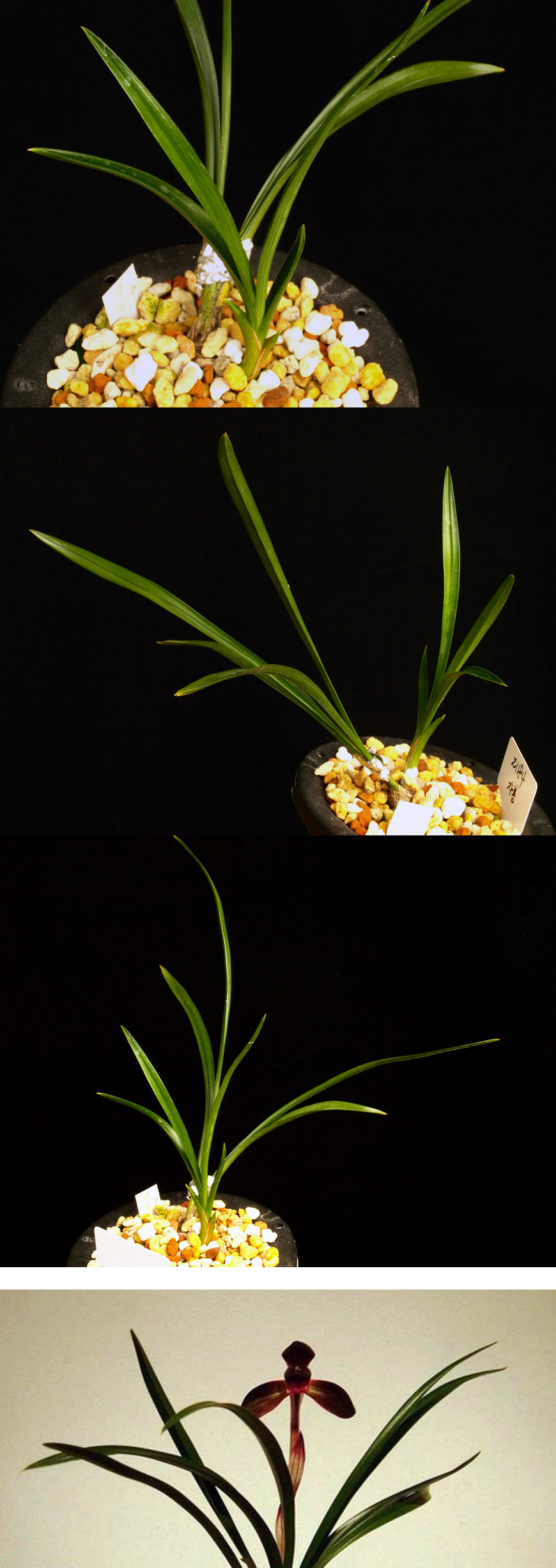 ������ ū������ �� �� �ֽ��ϴ�.