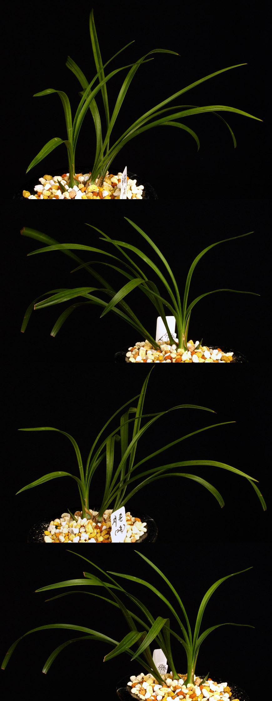 ������ ū������ �� �� �ֽ��ϴ�.