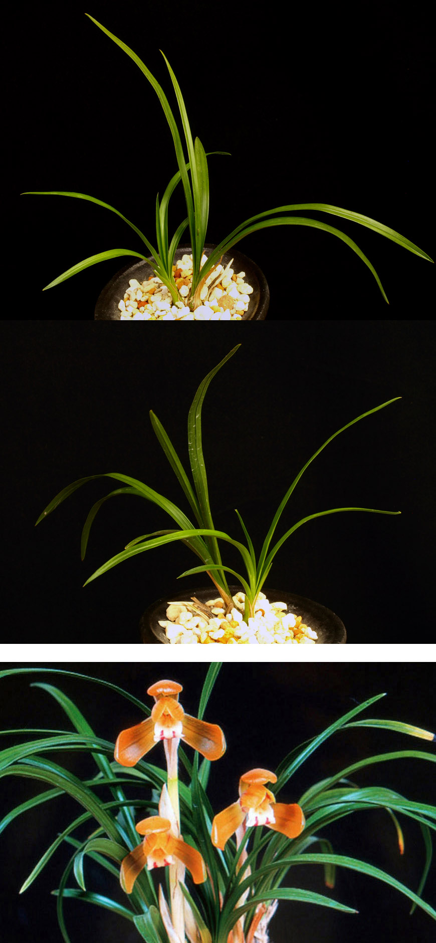 ������ ū������ �� �� �ֽ��ϴ�.