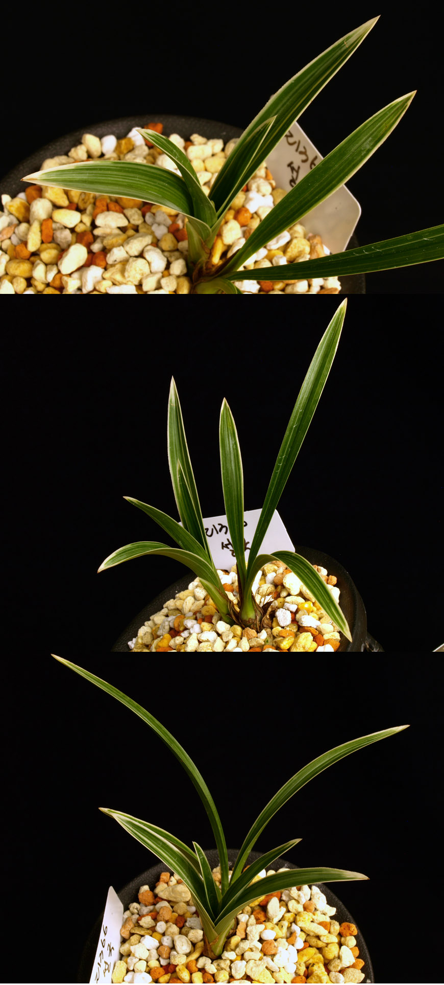 ������ ū������ �� �� �ֽ��ϴ�.