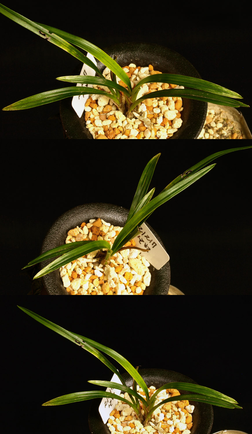 ������ ū������ �� �� �ֽ��ϴ�.