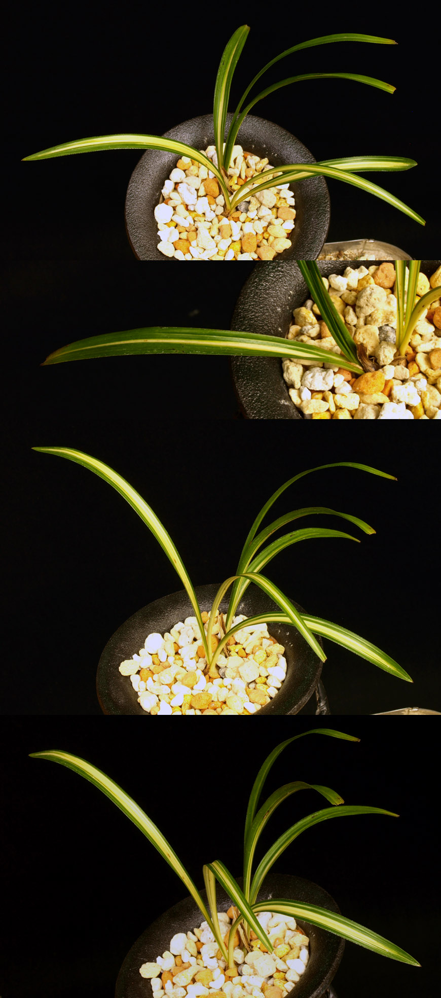 ������ ū������ �� �� �ֽ��ϴ�.