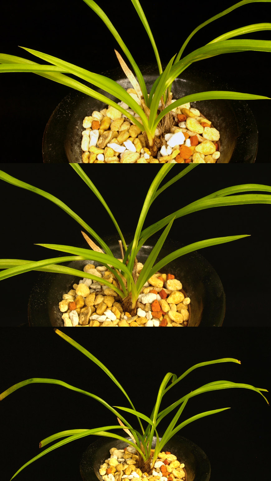 ������ ū������ �� �� �ֽ��ϴ�.