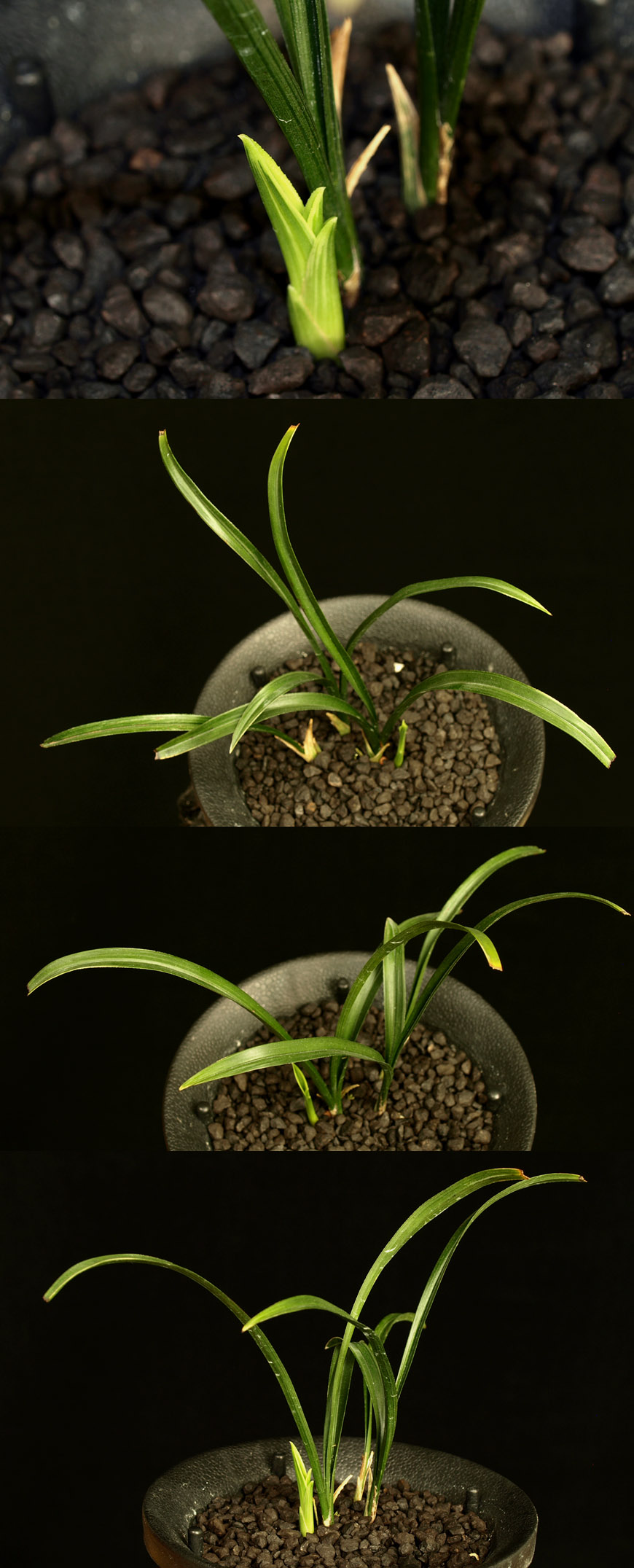 ������ ū������ �� �� �ֽ��ϴ�.