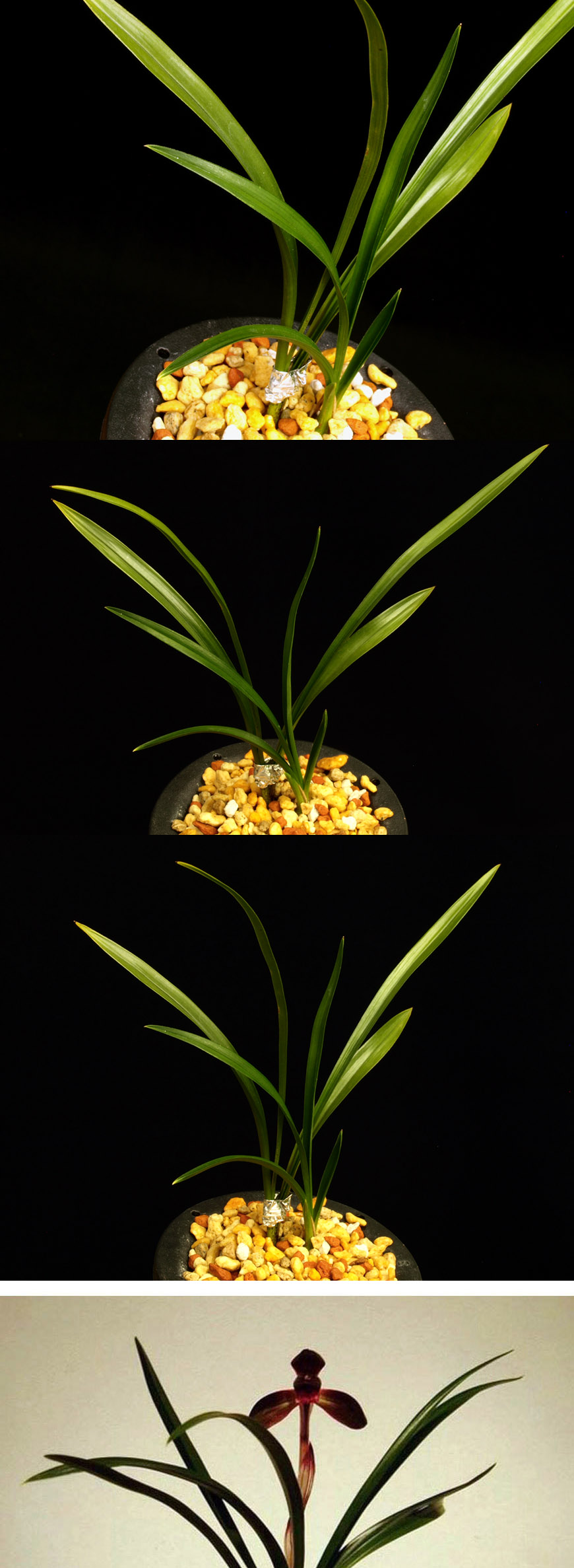 ������ ū������ �� �� �ֽ��ϴ�.