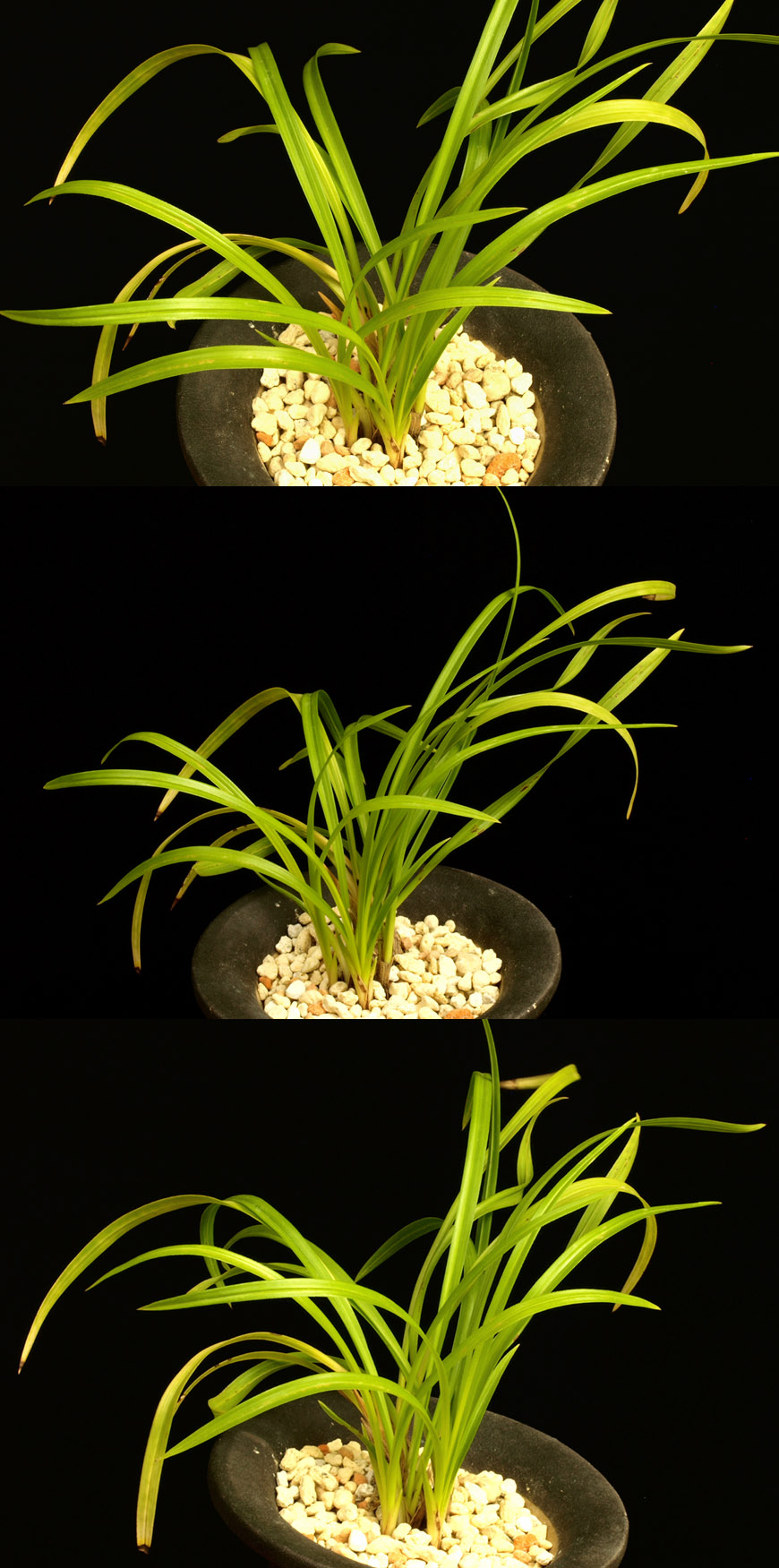 ������ ū������ �� �� �ֽ��ϴ�.