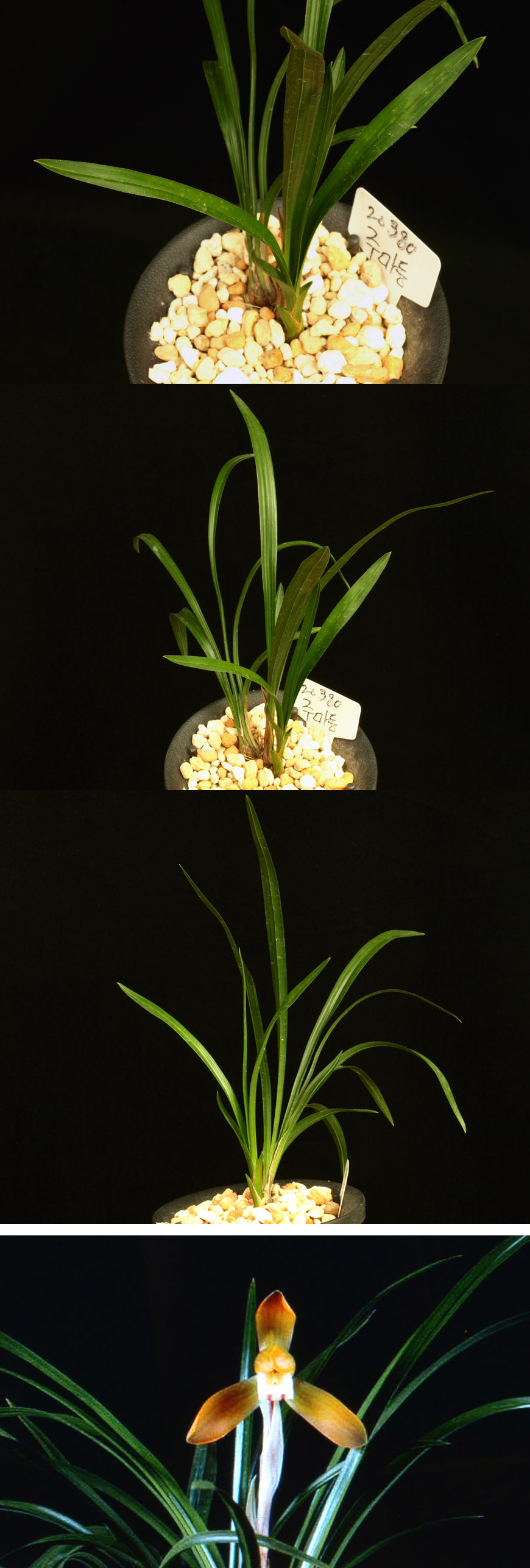 ������ ū������ �� �� �ֽ��ϴ�.