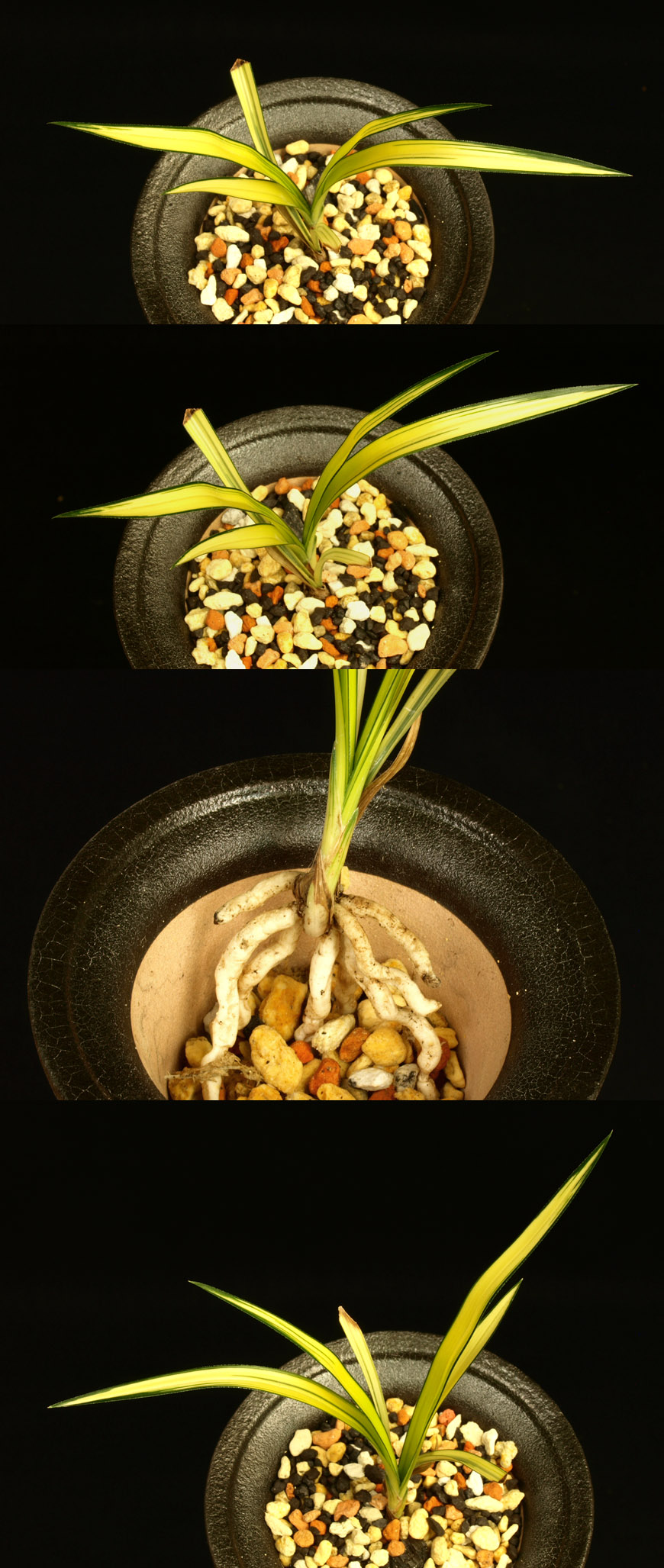 ������ ū������ �� �� �ֽ��ϴ�.