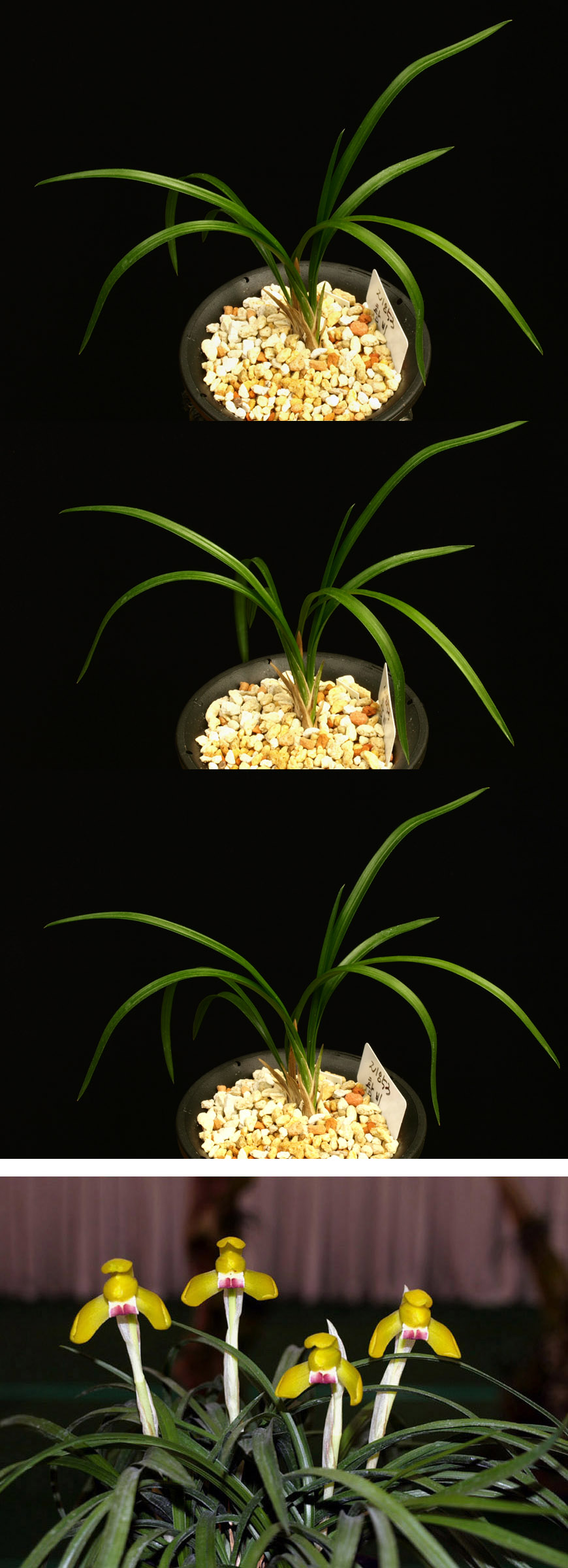 ������ ū������ �� �� �ֽ��ϴ�.