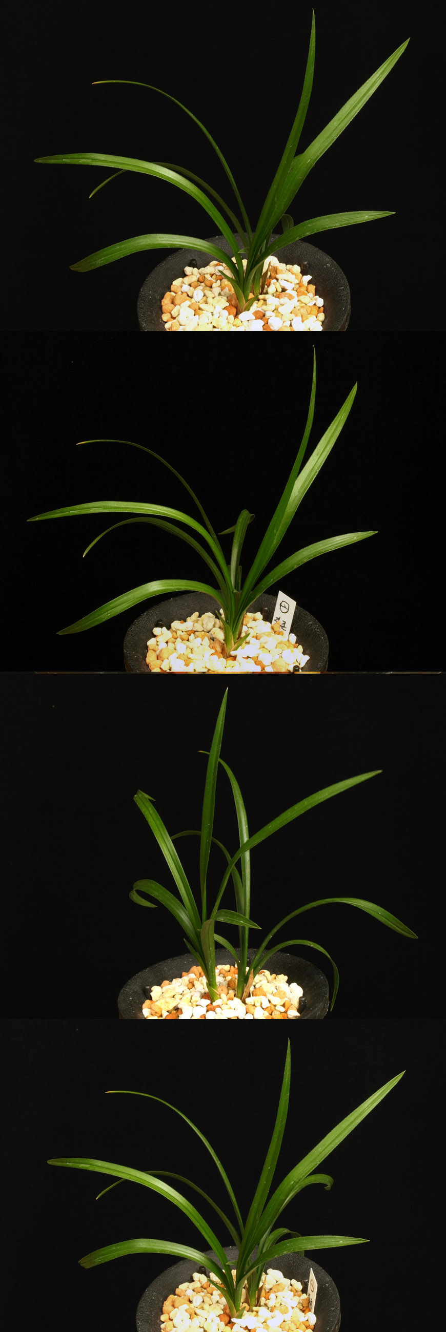 ������ ū������ �� �� �ֽ��ϴ�.