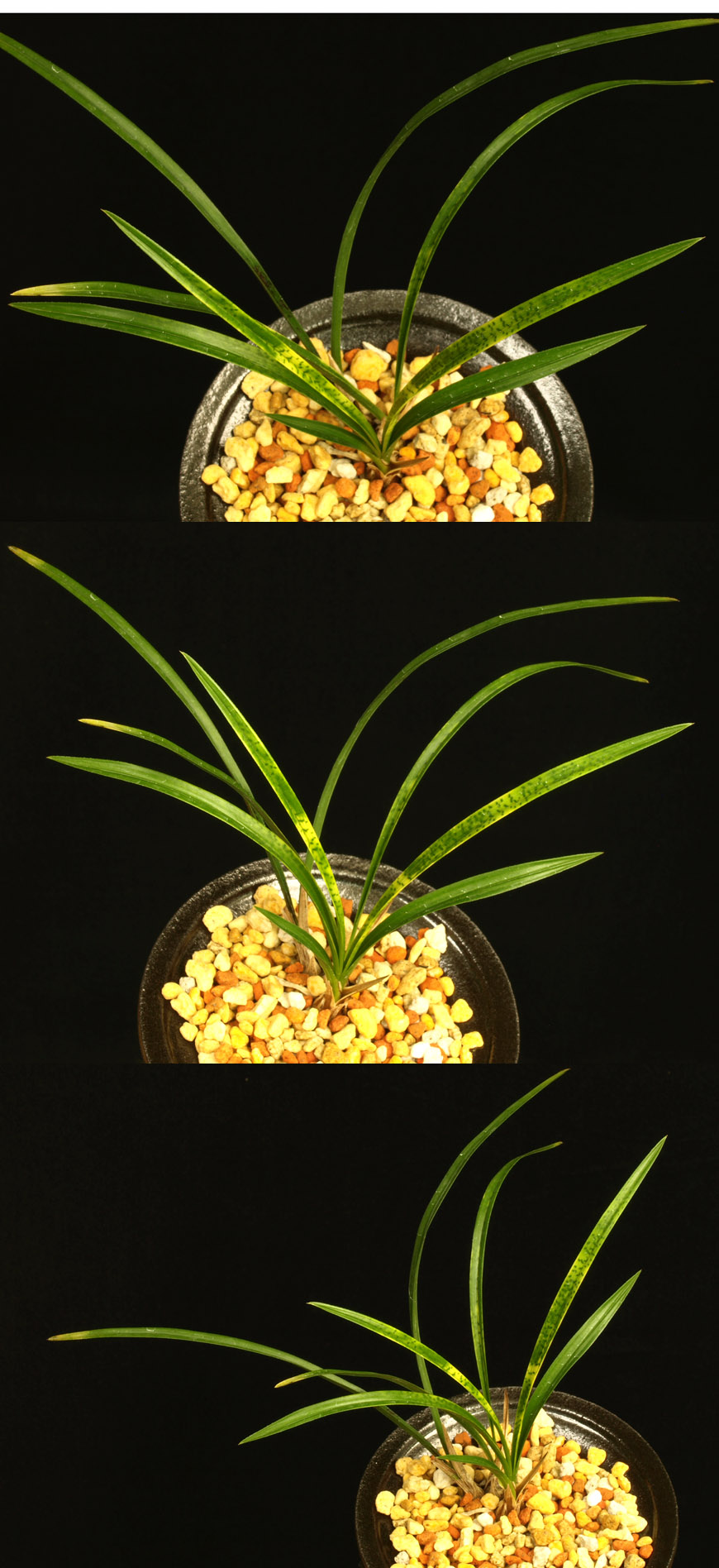 ������ ū������ �� �� �ֽ��ϴ�.