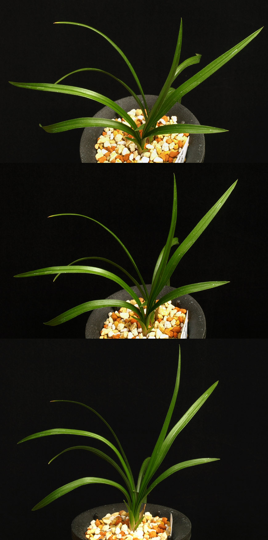 ������ ū������ �� �� �ֽ��ϴ�.