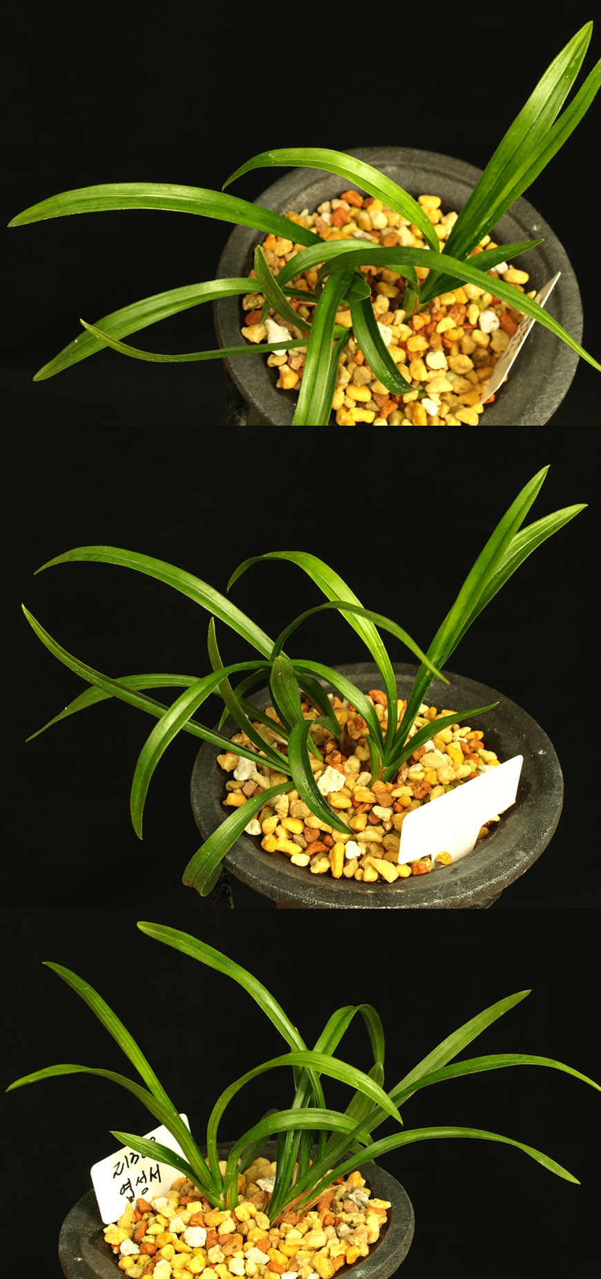 ������ ū������ �� �� �ֽ��ϴ�.