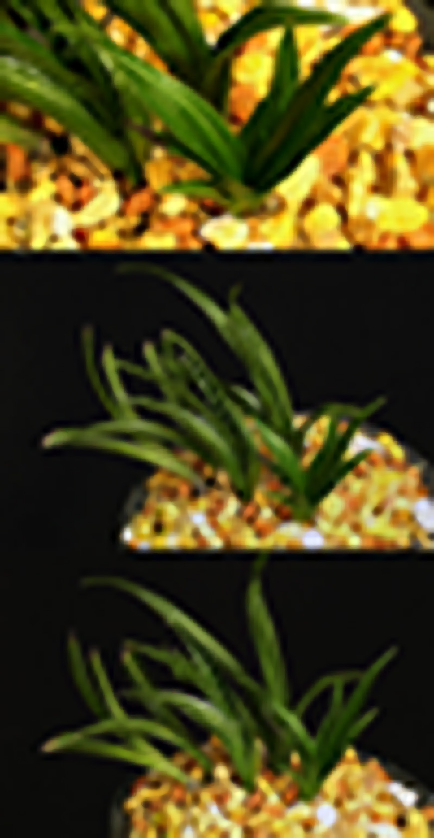 ������ ū������ �� �� �ֽ��ϴ�.