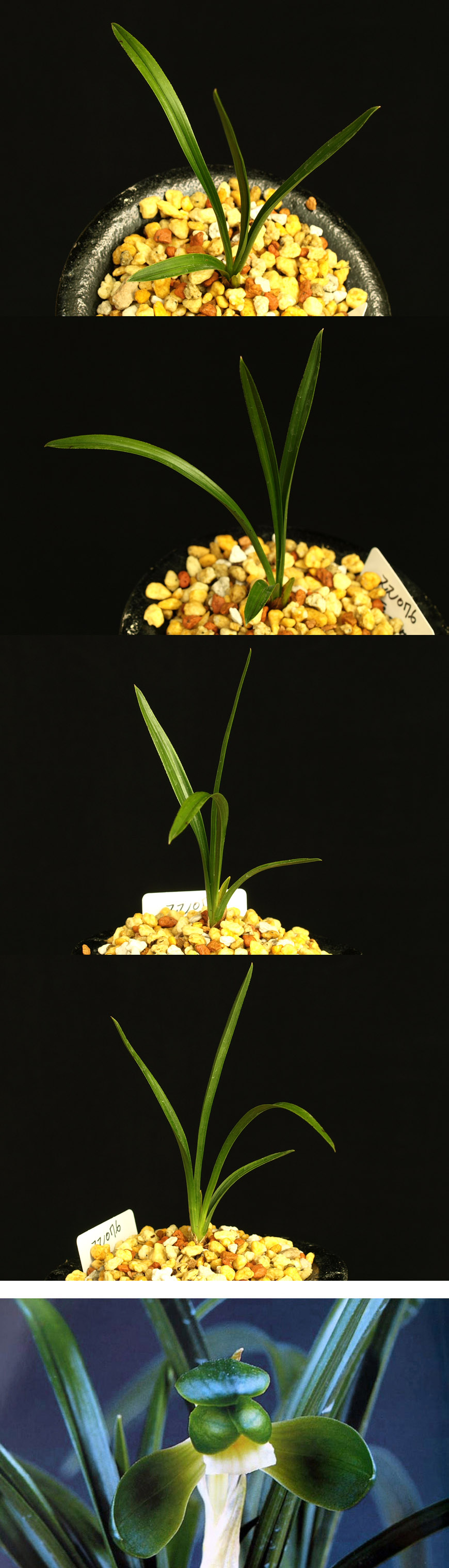 ������ ū������ �� �� �ֽ��ϴ�.