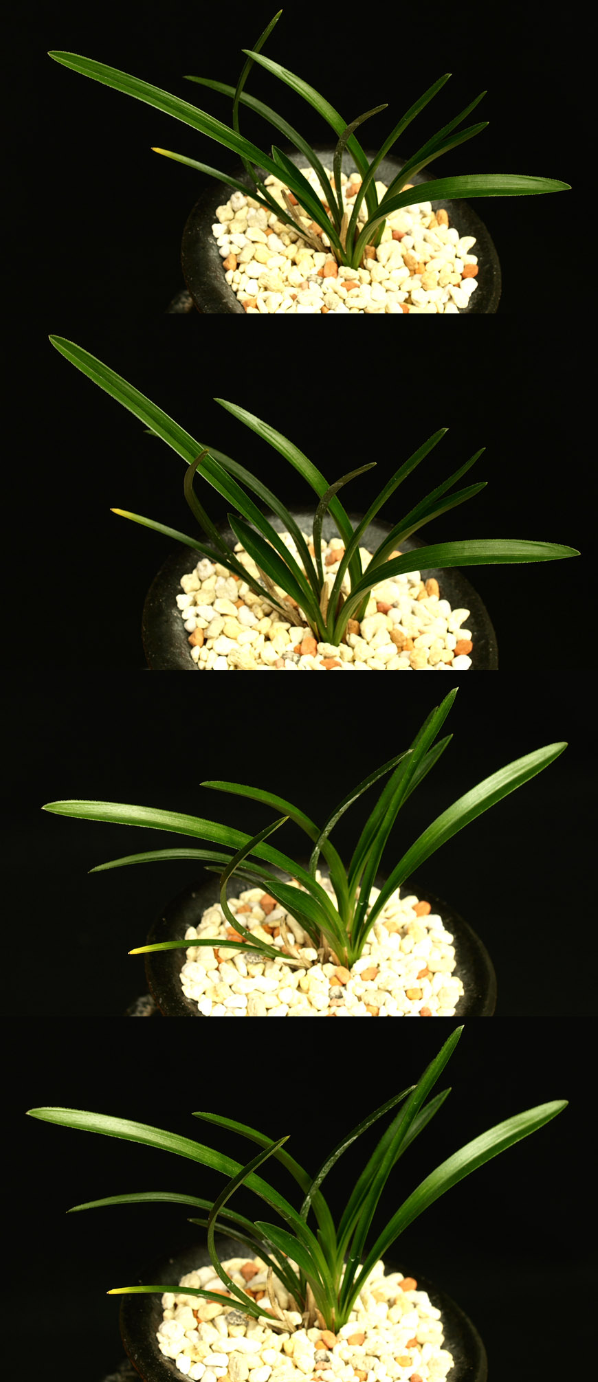 ������ ū������ �� �� �ֽ��ϴ�.