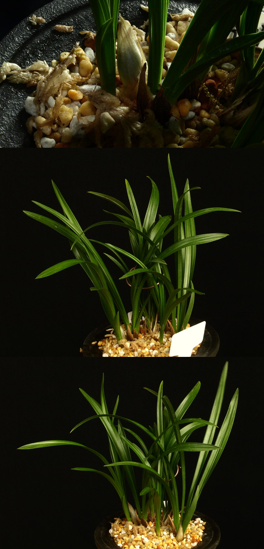 ������ ū������ �� �� �ֽ��ϴ�.