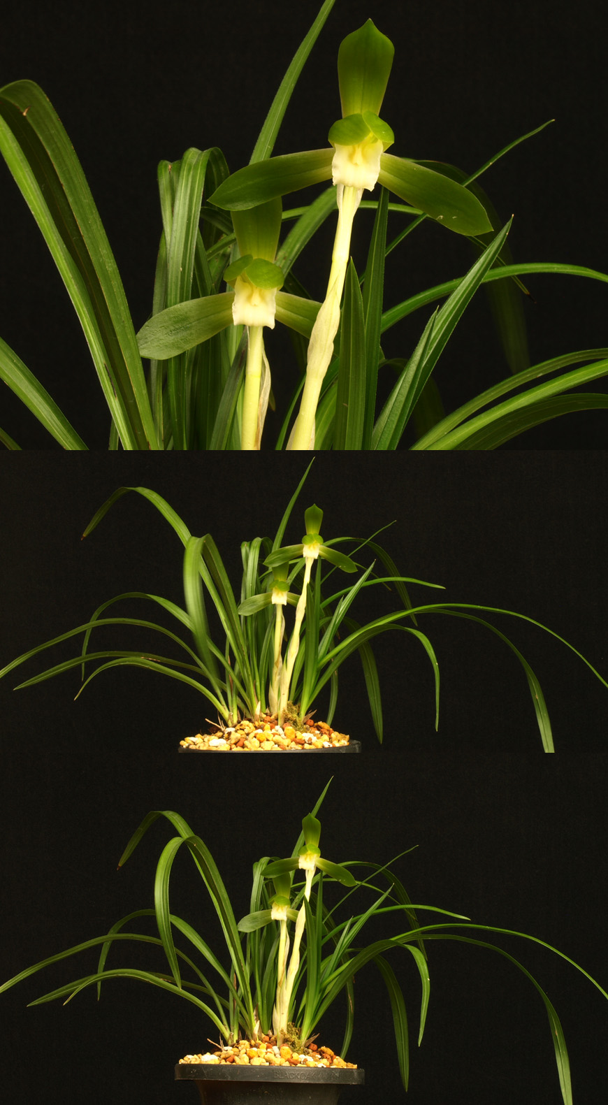 ������ ū������ �� �� �ֽ��ϴ�.