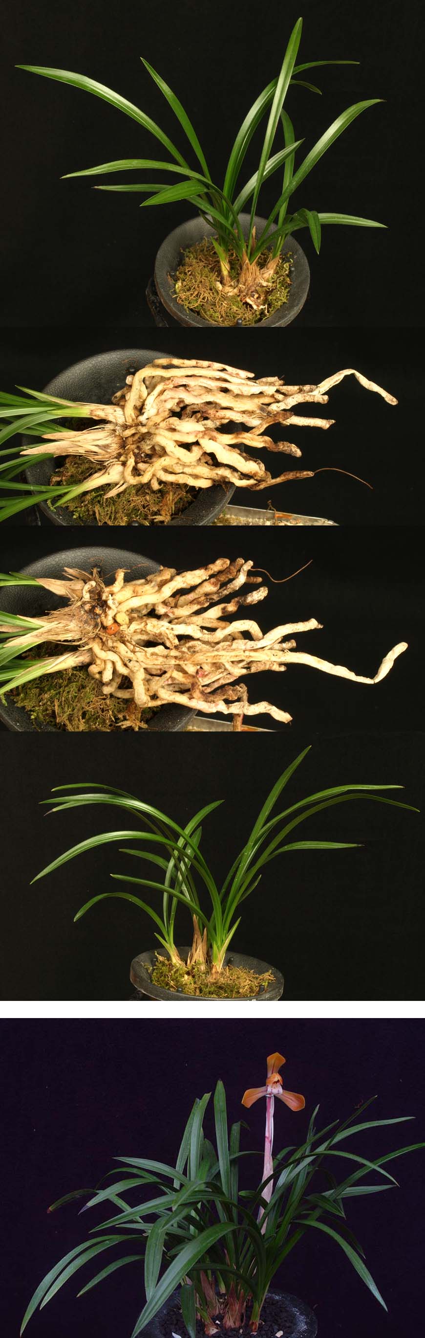 ������ ū������ �� �� �ֽ��ϴ�.