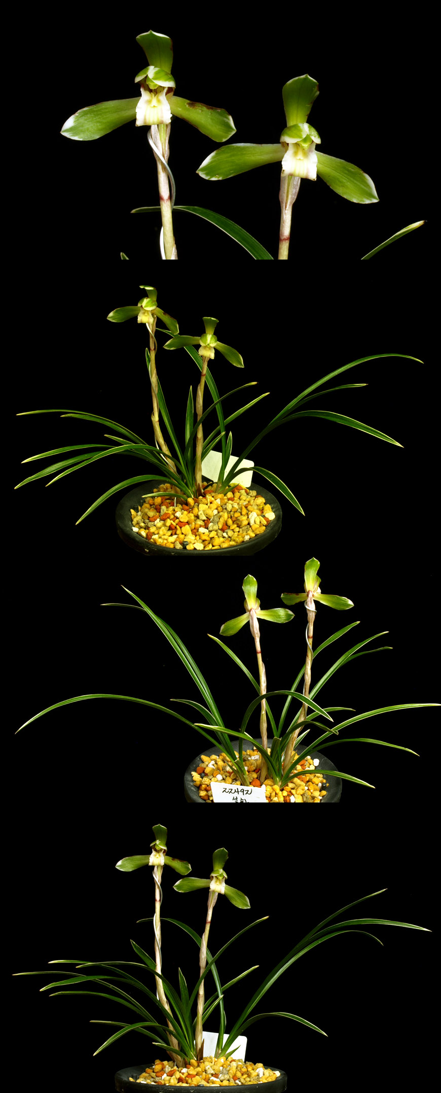 ������ ū������ �� �� �ֽ��ϴ�.