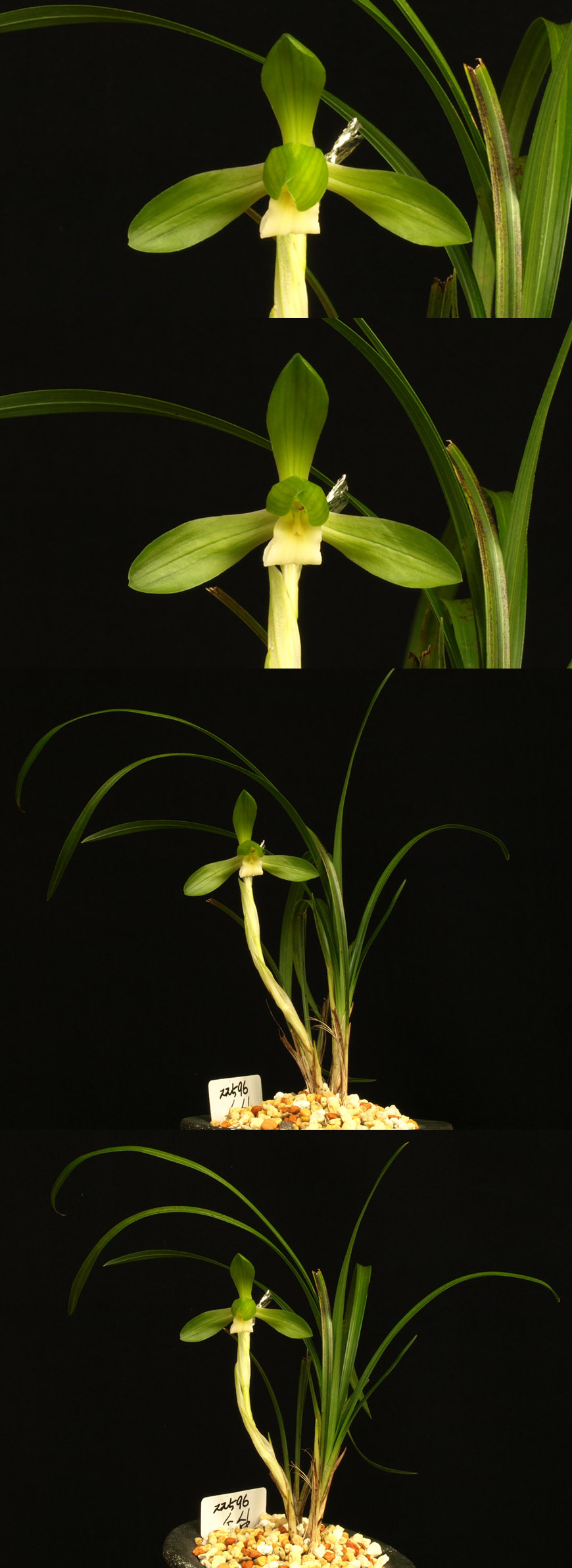 ������ ū������ �� �� �ֽ��ϴ�.