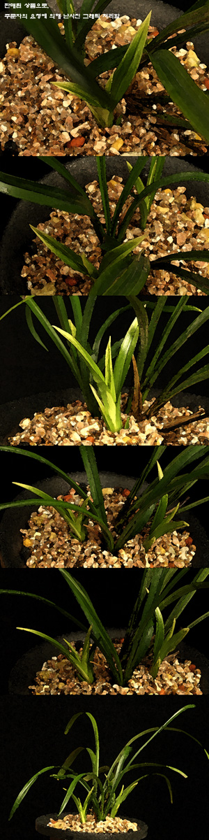 ������ ū������ �� �� �ֽ��ϴ�.